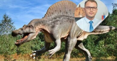 Izludio: BABINO UNUČE BI DA SE IGRA