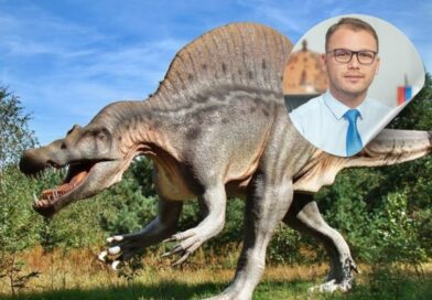 Izludio: BABINO UNUČE BI DA SE IGRA