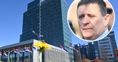 U Vladi se prave mutavi u vezi sa Đajićevom smjenom