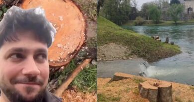 Ko ste vi ljudi? “Banjalučki san” oštro o sječi stabala uz Vrbas VIDEO