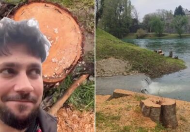 Ko ste vi ljudi? “Banjalučki san” oštro o sječi stabala uz Vrbas VIDEO