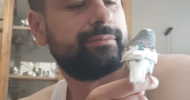 Srđan Amidžić: Inspirator, organizator i učesnik brojnih višemilionskih pljački preko svojih povezanih kriminalnih firmi