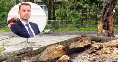 IDIOT Stanivuković isječe sva Banjalučka stabla