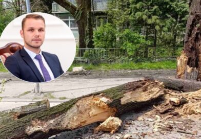 IDIOT Stanivuković isječe sva Banjalučka stabla