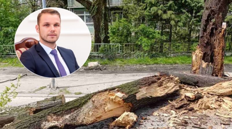 IDIOT Stanivuković isječe sva Banjalučka stabla