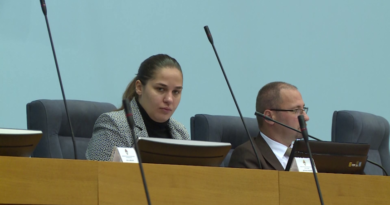 Anja Ljubojević slupala službeni auto od 60.000 KM