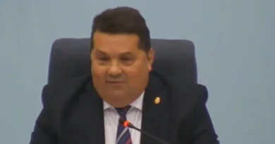 Nenad Stevandić angažovao batinaše u skupštini VIDEO