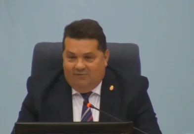 Nenad Stevandić angažovao batinaše u skupštini VIDEO